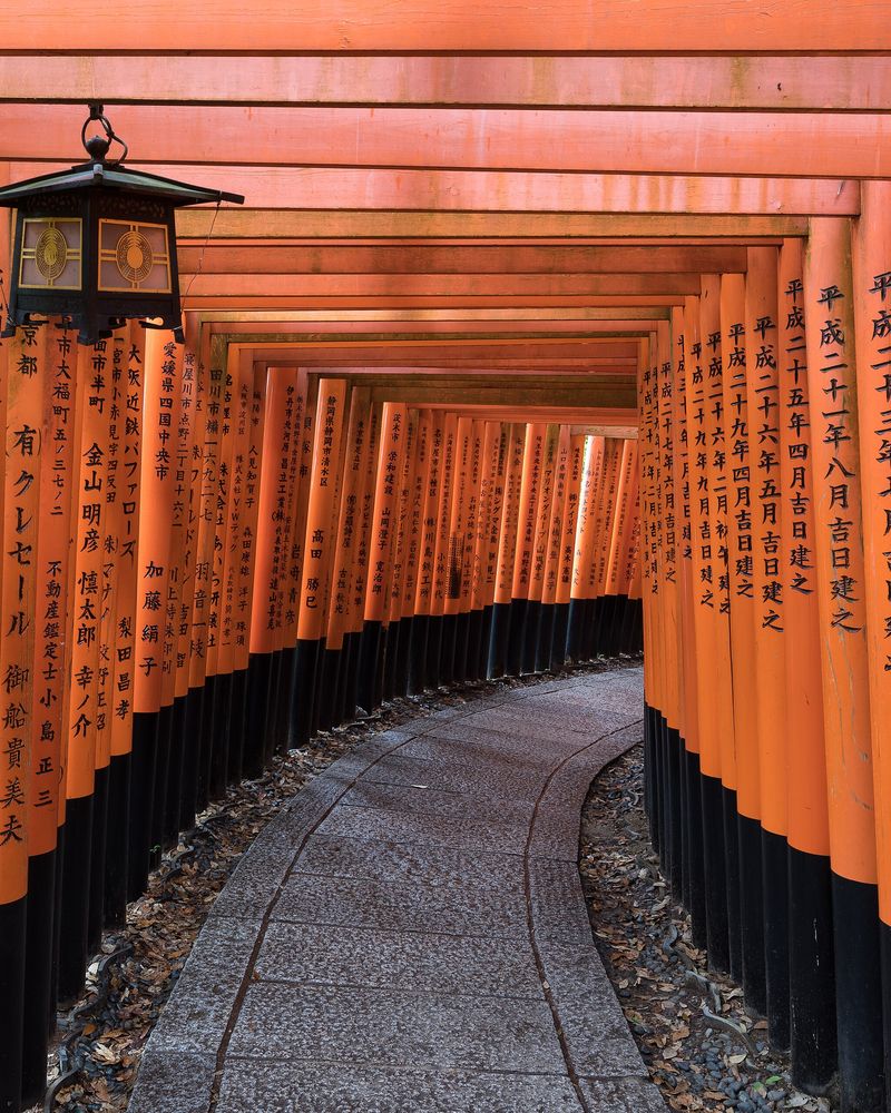 Fushimi Inari Tapınağı'nda torii kapılarından yol, Kyoto
