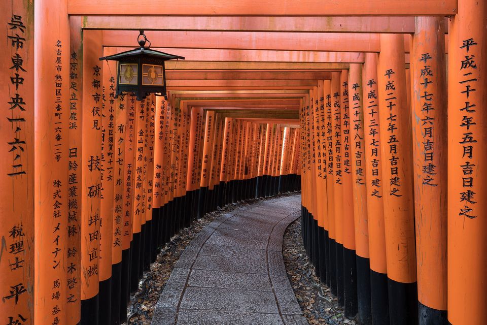 Fushimi Inari Tapınağı'nda torii kapılarından yol, Kyoto