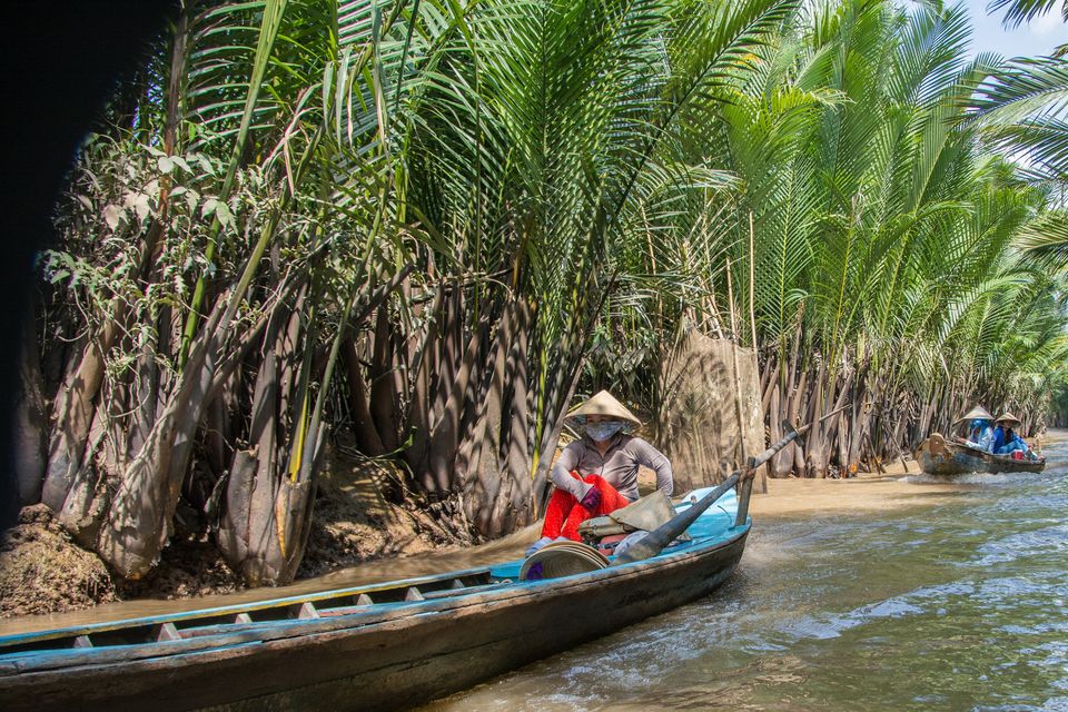 Mekong Deltası'nda palmiyelerle çevrili bir kanal, My Tho